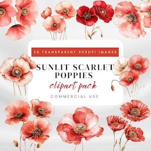Peut inclure: Pack de cliparts aquarelle avec des coquelicots écarlates ensoleillés. L'image présente des illustrations de fleurs individuelles dans des tons de rouge, de rose et de crème. Le texte indique "SUNLIT SCARLET POPPIES clipart pack COMMERCIAL USE".