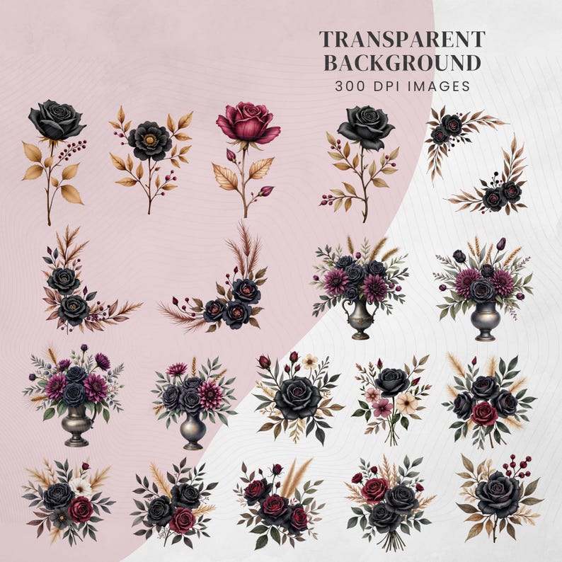 May include: Digital watercolor illustrations of floral arrangements featuring black and burgundy roses, along with other flowers and foliage. The arrangements include bouquets, corner designs, and individual flowers. The text "TRANSPARENT BACKGROUND 300 DPI IMAGES" is visible.