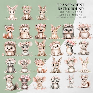 Woodland Baby Animals Clipart Bundle: Watercolour PNG Images for Nursery, Baby Shower (Digital Download)