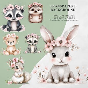 Woodland Baby Animals Clipart Bundle: Watercolour PNG Images for Nursery, Baby Shower (Digital Download)