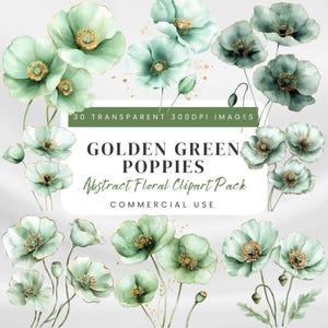 Clipart de acuarela de flores abstractas: amapola verde pálido, amapolas blancas y doradas, PNG florales para scrapbooking, invitaciones y proyectos creativos.