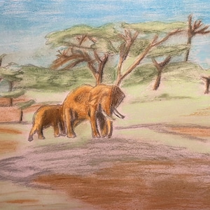 Dipinto originale a pastello a olio su carta. Kilimangiaro. Africa. Elefanti.