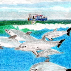 Dipinto originale a pastello a olio su carta. Delfini. Guarda. Oceano.