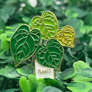 Monstera Albo Enamel Pin – Variegated Leaf Plant Pin for Jackets, Bags & Plant Lovers | Houseplant Gift