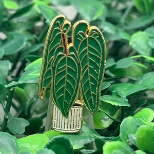 Monstera Albo Enamel Pin – Variegated Leaf Plant Pin for Jackets, Bags & Plant Lovers | Houseplant Gift