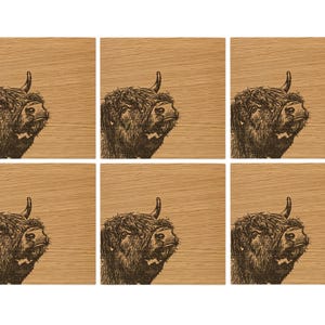 Highland Cow Oak Solid Coaster - 10cm Square - Set of 6
