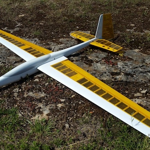 May include: A model glider airplane with a white fuselage and wings, accented with yellow and brown panels. The glider is resting on a bed of brown and green vegetation. The tail fin is also yellow.