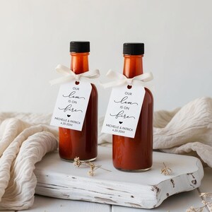 Salsa Tag Hot Sauce Wedding Tags, Our Love is on Fire, Personalized Spice Blend ...