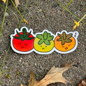 3 Tomatoes Sticker | Cute Little tomatoes die cut sticker