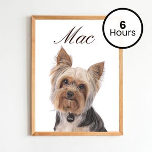 Custom Pet Cartoon Portrait, Custom Pet Character Art, Pet Lover Gift Idea, Unique Pet Illustration Gift, Wall Art Dog