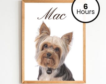 Custom Pet Cartoon Portrait, Custom Pet Character Art, Pet Lover Gift Idea, Unique Pet Illustration Gift, Wall Art Dog