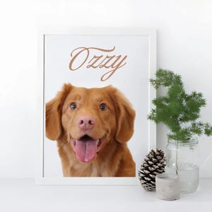 Ritratti personalizzati con nomi e storie di animali domestici, ritratti digitali personalizzati per la perdita di animali domestici, arte commemorativa per animali domestici, cornici personalizzate per cani e gatti, idee regalo per inaugurazione della casa