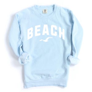 May include: A pale blue sweatshirt featuring the word "BEACH" in white, arched lettering, and a white seagull graphic. The long-sleeved top has a crew neck and rolled cuffs. The fabric appears soft and comfortable.