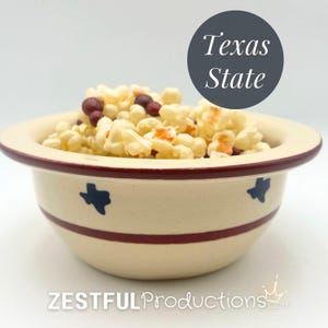 May include: A cream-colored bowl with a red rim and a red stripe, filled with popcorn. The bowl has blue Texas star designs. A dark gray circle with the words "Texas State" is above the bowl. The text "Zestful Productions" is at the bottom.