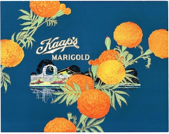 Etiqueta original de producto antiguo vintage de la década de 1920 - Caja de chocolates con flores de caléndula de Kaaps