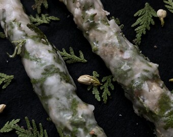 Handcrafted Dressed Taper Candles: Ritual & Intention (Two Pack)
