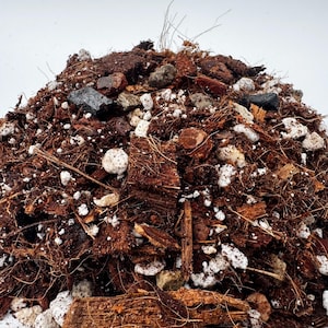 The Repot Remedy | Chunky Potting Mix for Aroids Philodendron Monstera | Well-Draining Tropical Houseplant Soil with Perlite & Bark