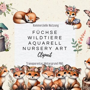 50 PNG Clipart Wandbilder Fuchskinder Füchse Baby Fuchs, Schmetterlinge, Blumen, Pilze & Pflanzen, Digital Sofort Download, transparent MRR