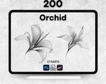 200 Orchid Procreate Stamps, Procreate Flower Brushes, Photoshop Orchid Stamps, Orchid Digital Stamps