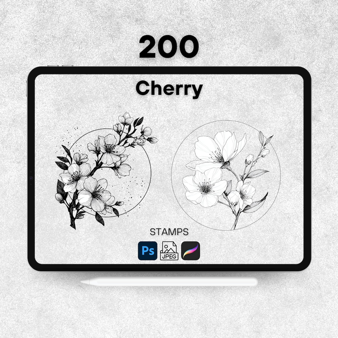 200 Cherry Procreate Stamps, Procreate Fruit Brushes, Photoshop Cherry ...