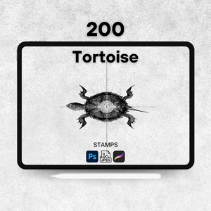 May include: A digital tablet displays a detailed black and white illustration of a tortoise. The text "200 Tortoise" is at the top, with "STAMPS" and software icons below. A stylus rests at the bottom. The background is a textured gray.