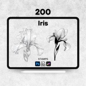 May include: A digital illustration displayed on a tablet, featuring two detailed black and white iris flower drawings. The text "200 Iris" is at the top, with "STAMPS" and software icons below. A stylus rests at the bottom.