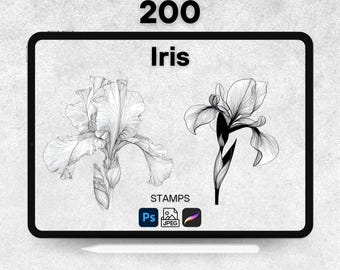 200 carimbos Iris Procreate, pincéis de flores Procreate, carimbos Iris Photoshop, carimbos digitais Iris