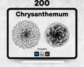 200 Chrysanthemum Procreate Stamps, Procreate Flower Brushes, Photoshop Chrysanthemum Stamps, Chrysanthemum Digital Stamps