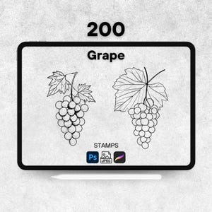 Könnte beinhalten: Ein digitales Tablet zeigt zwei schwarz-weiße Traubenillustrationen mit Blättern. Das Wort "Grape" steht über den Illustrationen, und die Zahl "200" steht oben. Das Wort "STAMPS" und Software-Symbole befinden sich unten.
