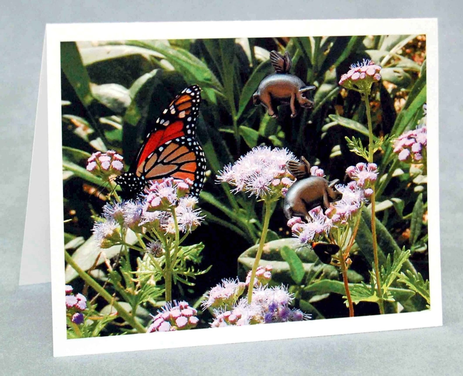 Flying Pig Note Cards - Piggy Pollinator Series, Blank Pig With Wings ...