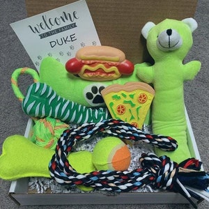 Dog Toy Box & Dog Toy Basket | Gifts for Dogs Puppy Toys New Puppy Toy Box | Chew Toys Squeak Toys Cute Dog Toys | Dog Gift Box New Dog Moms