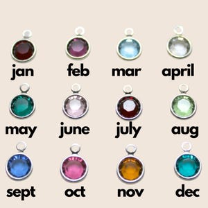 The image shows twelve small, silver round birthstone charms, each labeled with a month from January to December. Each charm has a different colored gemstone corresponding to the traditional birthstone for that month.