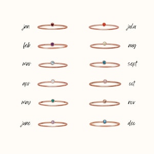 Puede incluir: Doce delicados anillos de oro, cada uno con una peque&ntilde;a piedra preciosa. Los anillos est&aacute;n dispuestos en dos filas de seis, con los meses del a&ntilde;o etiquetados encima de cada anillo. Las piedras preciosas son roja, p&uacute;rpura, azul, blanca, verde, rosa, naranja, amarilla, azul, rosa, azul y azul.