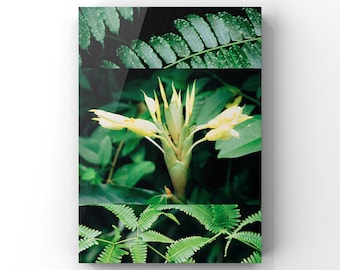 Botanical Wall Art Print | Green Nature Photography
