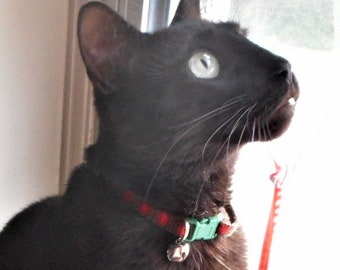 Plaid Webbing Cat or Small Dog Collar