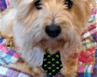 Dog Shamrock Neck Tie For St Patricks Day