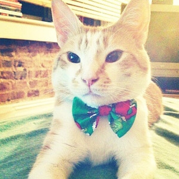 Carácter de Navidad lazo de lazo o cuello corbata collar para gatos o perros pequeños