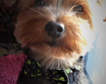 St Patrick's Day Bow Tie Collar for Tiny Dogs Featuring Shamrocks