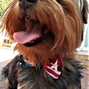 American Patriotic Bow Tie Collar for Cats and Tiny Dogs-Red, White and Blue.