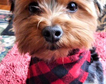 Small Dog Scarf/Bandana/ Neck Warmer/Red/Brushed Flannel