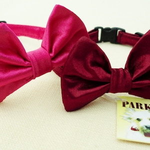 Special Event Bow Tie Collar For Cats and Small Dogs