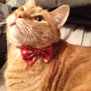 Cat Bow Tie Collar For Christmas/Valentines Day