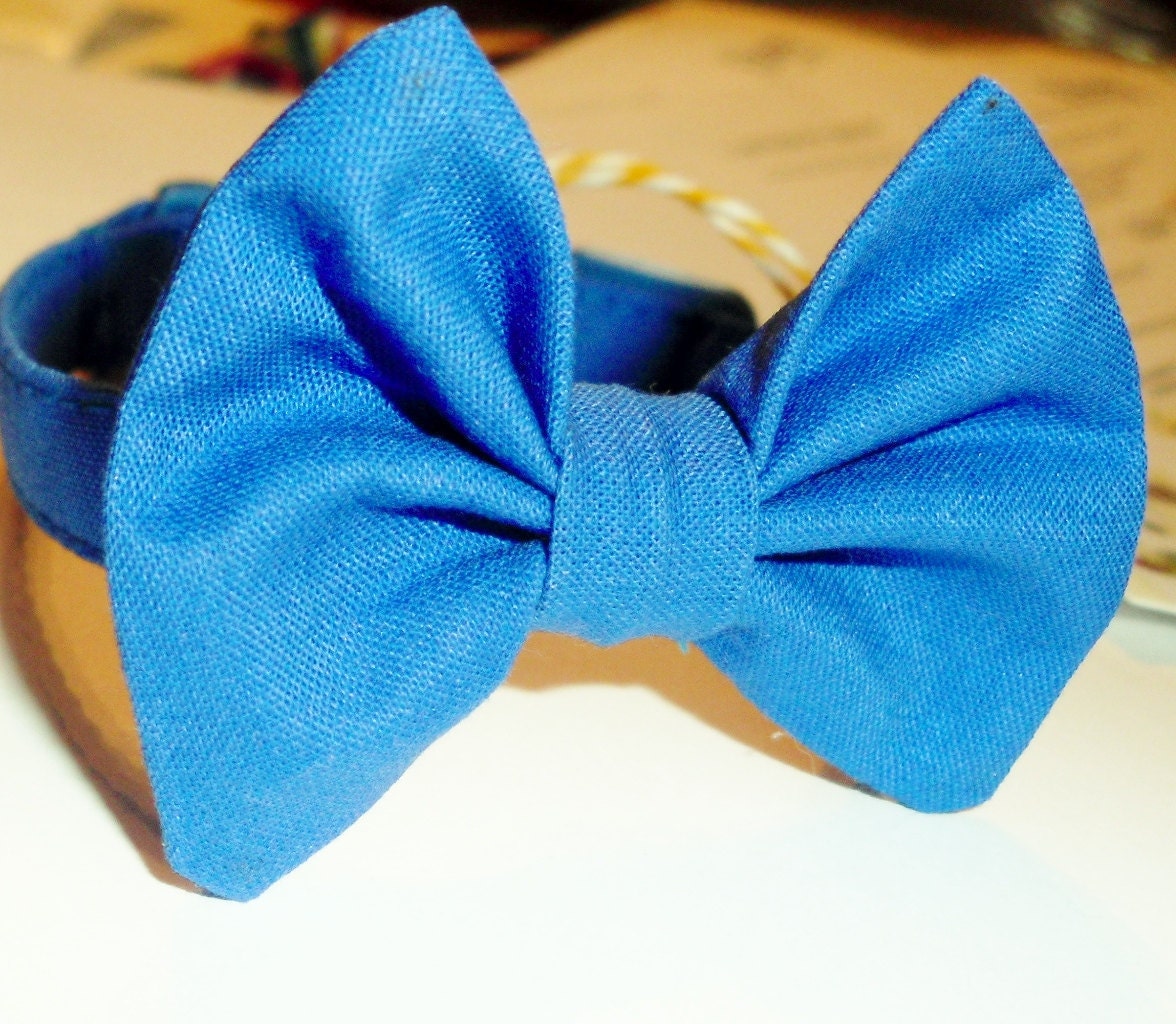 Kitten Bow Tie Collar in Royal Blue Etsy