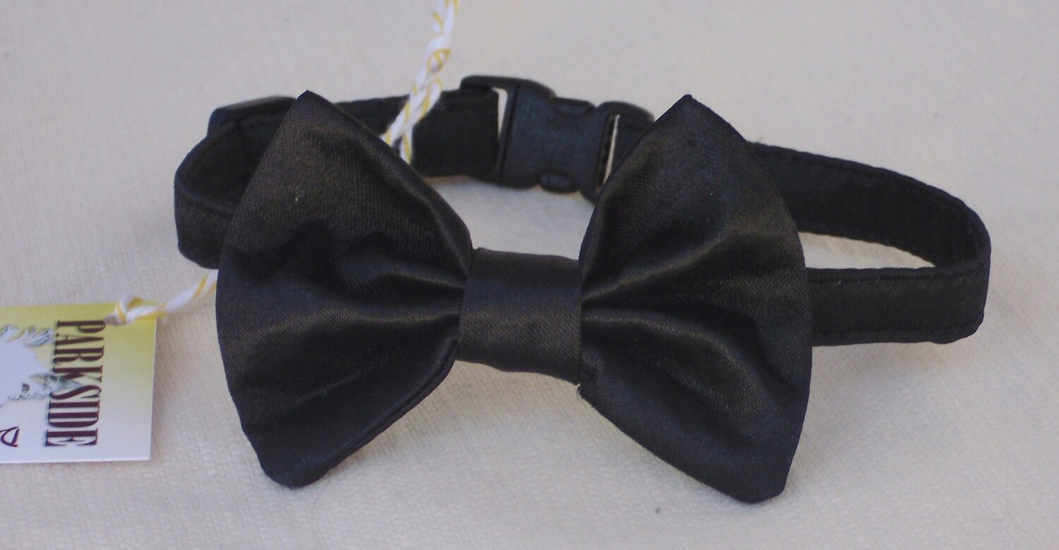 Black Tie Affair for Cats - Etsy