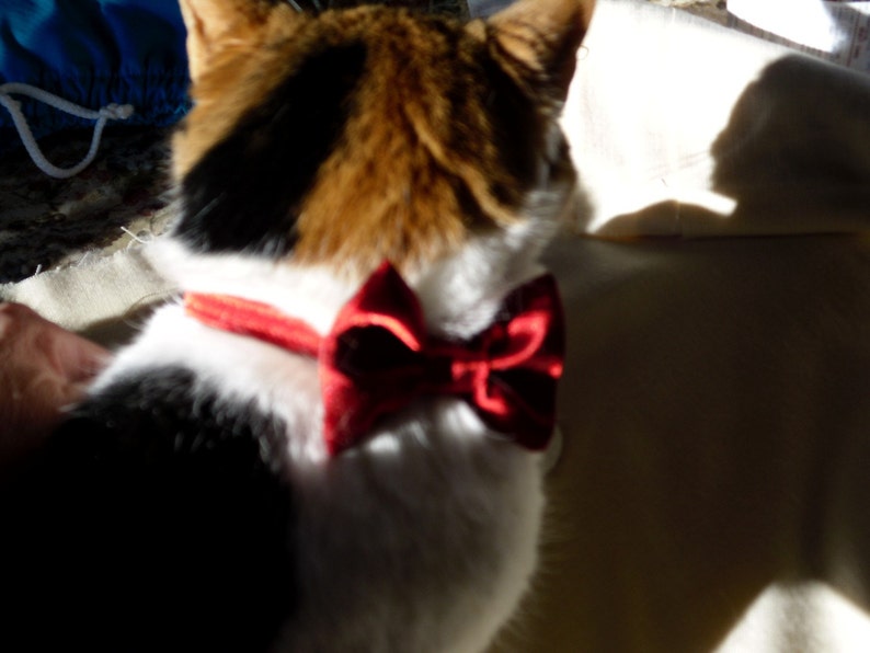 Lipstick Red Cat Break Away Bow Tie Collar image 2