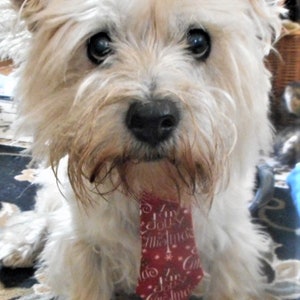 Christmas Words Dog Neck Tie