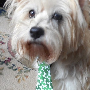 Christmas/St Patrick&#39;s Day Neck Tie For Dogs
