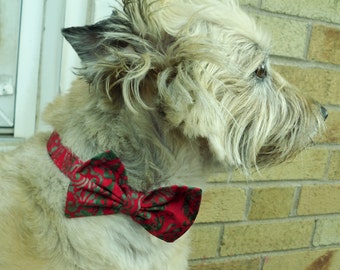 Red and Green Batik Bow Tie Collar For Small to Medium Sized Dogs