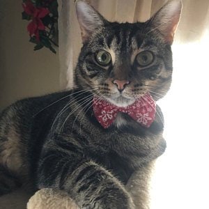 Bow Tie Collar for Cats and Small Dogs In Red with White Snowflakes