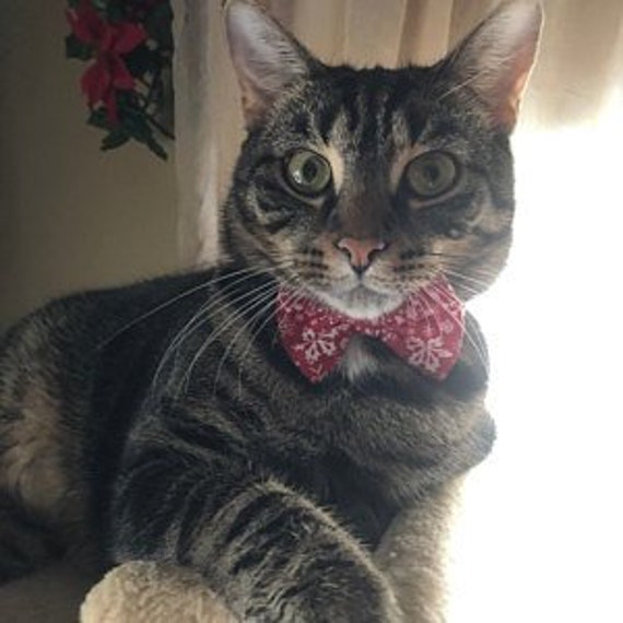 Bow Tie Collar For Cats And Small Dogs In Red With White Etsy